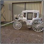 AUCTION ITEM:sk1004M001t.jpg