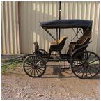 AUCTION ITEM:sk1004M009t.jpg