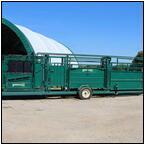 AUCTION ITEM:sk1006M008t.jpg
