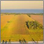 AUCTION ITEM:sk1023M004t.jpg
