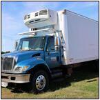 AUCTION ITEM:sk1103M008t.jpg