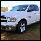 AUCTION ITEM:sk1103M010t.jpg