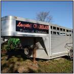 AUCTION ITEM:sk1113M003t.jpg