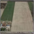 AUCTION ITEM:sk1125M001t.jpg