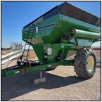 AUCTION ITEM:sk1130M007t.jpg