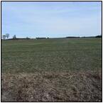 AUCTION ITEM:sk1218M003t.jpg