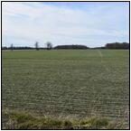 AUCTION ITEM:sk1218M004t.jpg